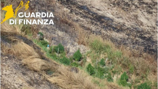 Guardia di Finanza - Operazione a Crotone - &copy; Guardia di Finanza