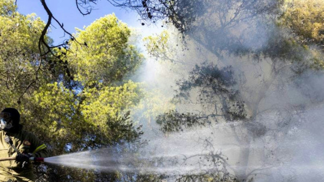 In Grecia i pompieri combattono incendi a Eubea e Creta &copy; Creative Commons