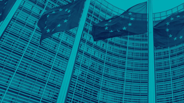 Unione Europea e applicazione digitale
