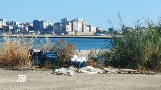 Taranto, blitz al mercato ittico: sequestri di pesce e droga &copy; Creative Commons