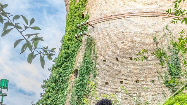 ViVi il Verde - Passeggiate Patrimoniali Natura e Cultura": al via ... &copy; Creative Commons