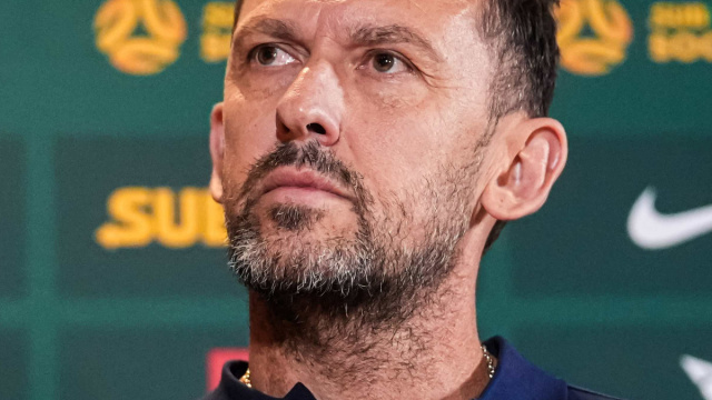 Tony Popovic on Socceroos squad: They're quality players  Socceroos &copy; Creative Commons