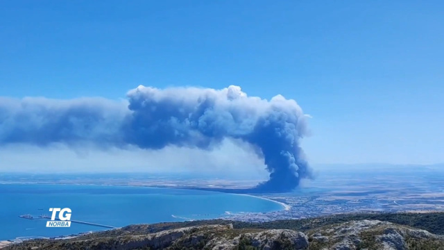 Manfredonia, fiamme nell'Oasi Lago Salso: fumo visibile per ... &copy; Creative Commons