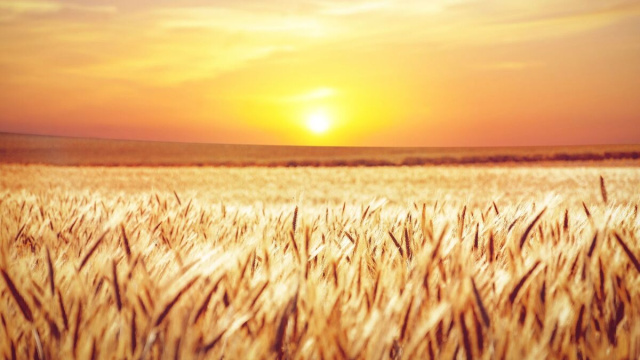 Sole e caldo intenso dove in particolare?