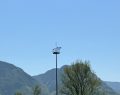 Alto Adige: auto elettriche superano quelle a benzina nelle immatricolazioni