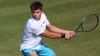 Wimbledon, Fery nella storia: è il secondo wild card in semifinale nell'era Open