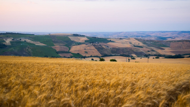 Viaggio nel cuore verde del Molise, dove nasce la pasta - LifeGate &copy; Creative Commons