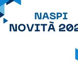 NASpI 2026 dettagli pagamenti e dove controllare