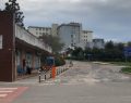 Febbre del Nilo: 12 casi umani nell'Oristanese, tre in osservazione