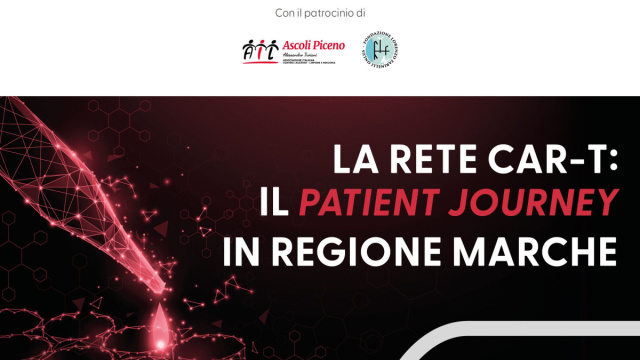 Le terapie Car-T e i percorsi diagnostico-terapeutici nelle Marche ... &copy; Creative Commons