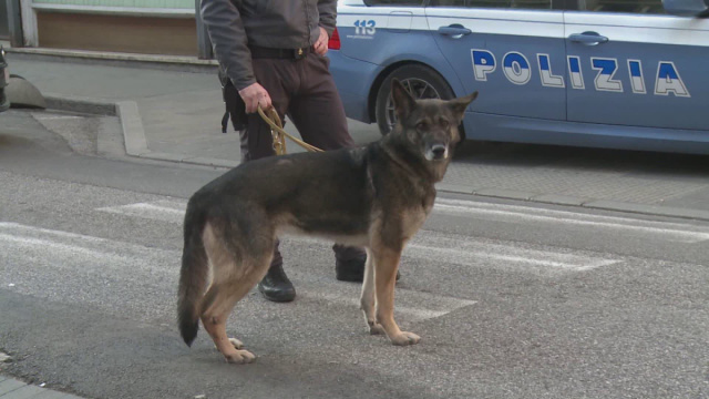 Udine, controlli straordinari delle forze dell'ordine nelle zone ... &copy; Creative Commons