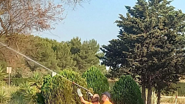 Incendio sterpaglia e piante per 15 ettari: intervengono volontari ... &copy; Creative Commons