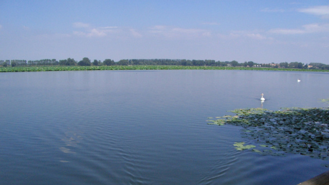 Laghi di Mantova - Wikipedia &copy; Creative Commons