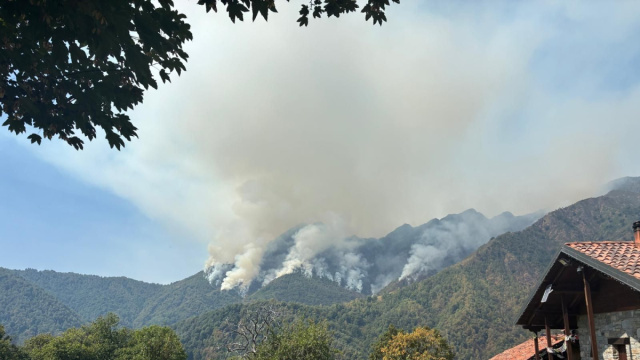 Monte Barone, il vento alimenta il rogo: incendio in espansione ... &copy; Creative Commons