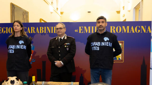 Carabinieri Forestale &ldquo;Emilia Romagna&rdquo;: risultati conseguiti nel ... &copy; Creative Commons