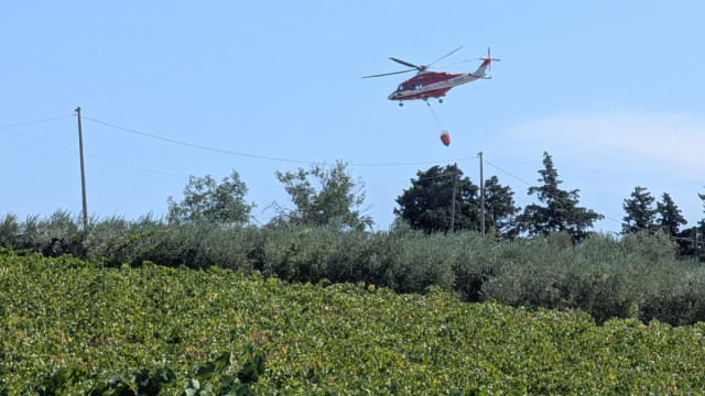 Incendio a Vacri: da questa mattina bruciano alberi e vigneti ... &copy; Creative Commons