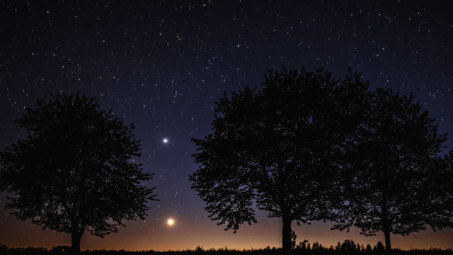 Alberi sotto le stelle - pixabay.com