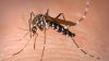 Brescia: possibile caso Zika, scattano le disinfestazioni preventive