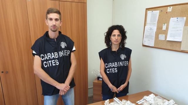 Conclusa l'operazione Low Cost dei carabinieri del Cites di ... &copy; Creative Commons