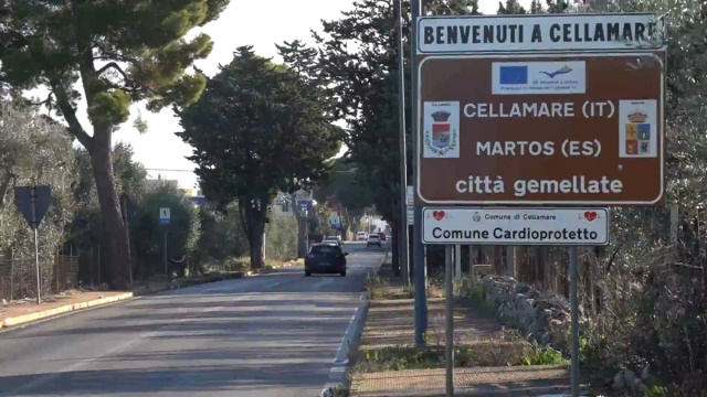Nuovo avvistamento del lupo: la segnalazione da Cellamare &copy; Creative Commons