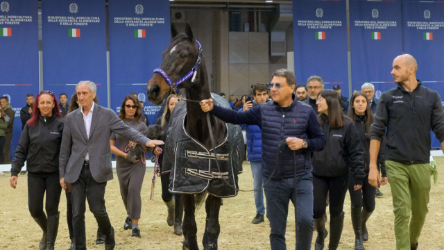 Varenne premiato per la sua carriera internazionale a Fieracavalli ... &copy; Creative Commons