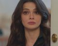 Canale 5, palinsesto stravolto a settembre: Far Away e Tutto per la mia famiglia tagliate