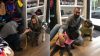 Pet couture, quando cani e gatti diventano protagonisti della moda