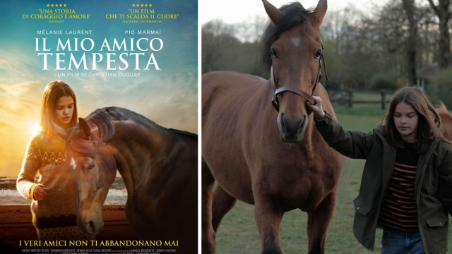 Il mio amico Tempesta, trama e cast del film stasera in tv  Sky TG24 &copy; Creative Commons
