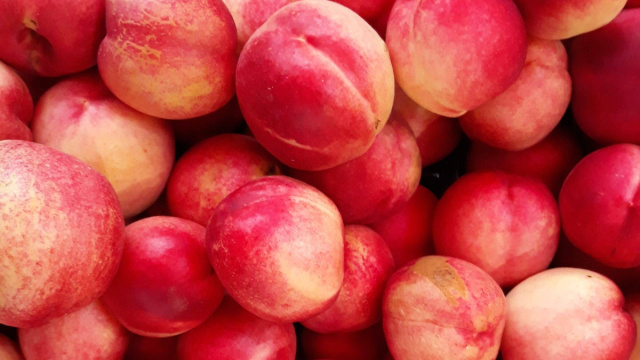 Pesche e nettarine italiane, quale produzione per il 2022 ... &copy; Creative Commons
