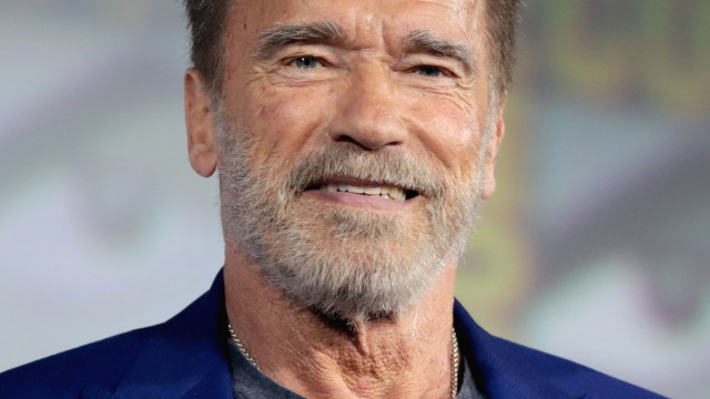 Arnold Schwarzenegger - Wikipedia &copy; Creative Commons