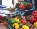A Carmagnola, la 77ª Fiera Nazionale celebra il peperone con eventi e gusto