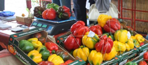 A Carmagnola, la 77ª Fiera Nazionale celebra il peperone con eventi e gusto