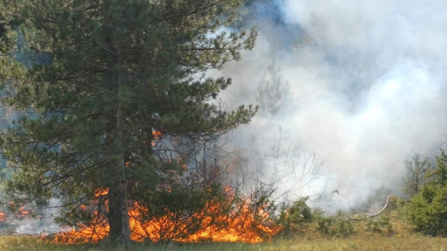 Incendi in Abruzzo, vento e caldo spingono gli incendi, le news ... &copy; Creative Commons