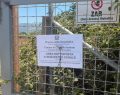 Capaccio Paestum: sequestrato scarico abusivo di reflui in allevamento