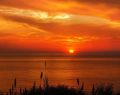 L'oroscopo del giorno sabato 29 agosto: leggerezza in Bilancia, Scorpione sensibile