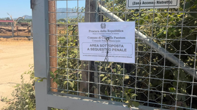 Capaccio Paestum, sequestrata un'azienda zootecnica - SUD TV 114 &copy; Creative Commons