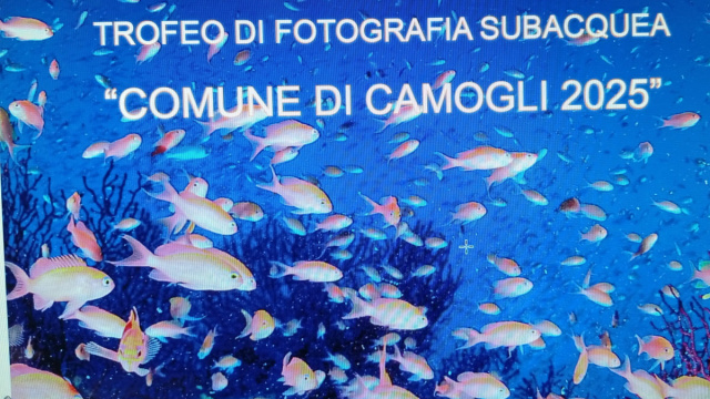 IL 10 NOVEMBRE CHIUSURA ISCRIZIONI AL TROFEO COMUNE DI CAMOGLI DI ... &copy; Creative Commons