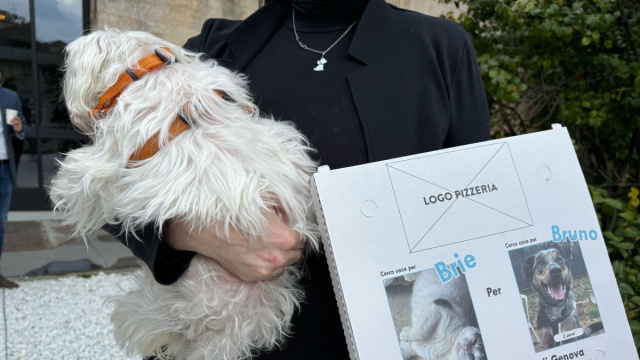 La pizza piace anche ai cani!&rdquo;: nuova campagna di adozioni per ... &copy; Creative Commons