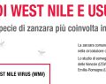 Febbre del Nilo: caso a Pianella, sindaco firma ordinanza