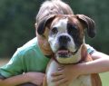 Giornata mondiale del cane: gli italiani e quel legame che dura una vita