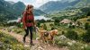 Giornata del cane: l'Italia celebra gli amici a quattro zampe tra viaggi e fiere