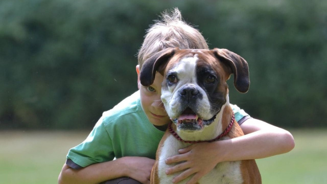 Il cane &egrave; sempre pi&ugrave; protagonista delle abitudini degli italiani, ma l'abbandono resta un'emergenza.