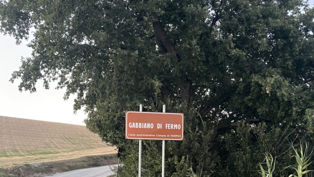 Segnaletica in contrada Gabbiano di Fermo, il &ldquo;grazie&rdquo; dei ... &copy; Creative Commons