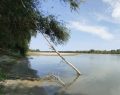 Autorità Po: livelli del fiume inferiori alla media stagionale
