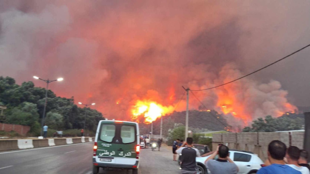 Incendi boschivi in Algeria, almeno 12 morti &copy; Creative Commons