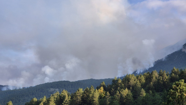 Monte Morrone: incendio quasi spento, prosegue la bonifica - News ... &copy; Creative Commons