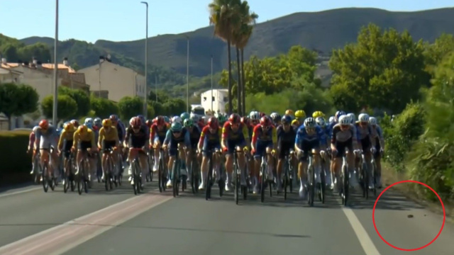 Il sasso che ha provocato la caduta - &copy; Screenshot Eurosport