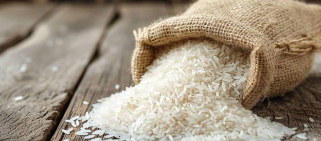 Tra risaie, chef e innovazione: Vercelli torna capitale del riso