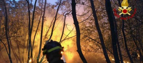Carso triestino, incendio domato dopo due giorni: ora le bonifiche