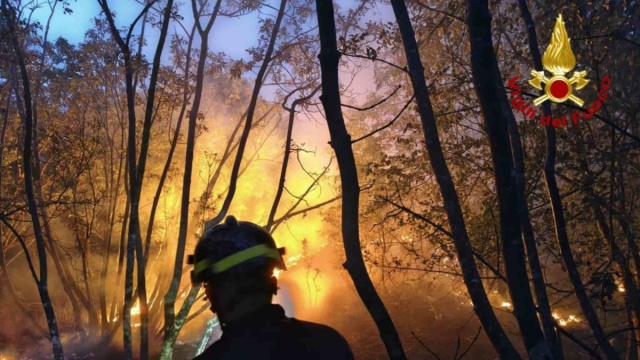 Incendio sul Carso, trenta vigili del fuoco in azione: odore di ... &copy; Creative Commons